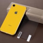 For iPhone XR 6.1 inch Soft PET Full Back Covering Protector