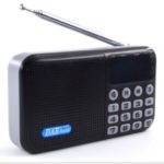 DAB-P8 Portable DAB Radio FM Receiver Bluetooth Speaker MP3 Player Support TF Card/U Disk