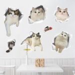 3D Cat Climbing Out Wall Sticker Adhesive Room Wallpaper Mural Art Decal 45x60cm