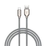 DEVIA 2.1A Storm Series Type-C Data Cable Zinc Alloy Braid Cord Charging Transmission 1m
