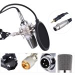 Microphone Mic Kit Professional Broadcasting Studio Recording Condenser – White