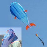 Sport Ourdoor Exercise 3D Animal Dolphin Shape Wind Kite with Handle Line
