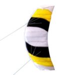 Outdoor Activity Sport Exercise Shiny Cool Wind Breeze Kite