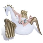 Giant Inflatable Pegasus Summer Swimming Pool Raft, Size: 2.75 x 1.4 x 1.2m