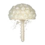 18cm Handmade Wedding Artificial Pearls Bridal Bouquet Satin Rose Flower for Bride Wedding Supplies- – Beige