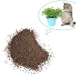 100pcs Natural Premium Catnip Menthol Flavor Catmint Herb Seed Planting Organic Grass Seed