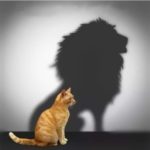 5D Diamond Painting Kit Canvas Wall Decor Embroidery Cross Stitch Rhinestone Decoration Drawing Gift – Cat Enlarged Lion Shadow