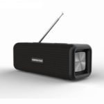 T9 Wireless Bluetooth 4.2 Speaker 10W Portable Sound Box FM Digital Radio 3D Surround Stereo Support Handsfree TF AUX – Black