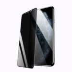 ROCK Anti-peeping Tempered Glass Full Screen Protector for Apple iPhone 11 Pro Max 6.5 inch