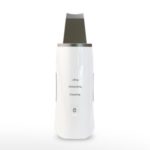 BAISHILIN Ultrasonic Peeling Machine