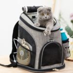QS-003-L Pet Carrier Dog Cat Carrier Backpack Puppy Carrier Travel Shoulders Bag Backpack – Black