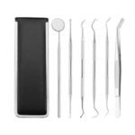 6Pcs Dog Toothbrush Stainless Steel Tooth Cleaning Tool Set Teeth Care Kit