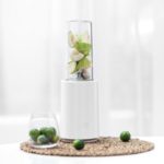 XIAOMI MIJIA Mini Blender Copper Wire Motor 6-leaf Stainless Steel Blade 500ml Fruit Juicer