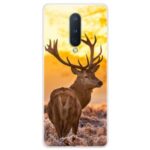 Pattern Printing Soft TPU Phone Case for OnePlus 8 – Elk