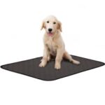 Anti-Slip Reusable Washable Dog Training Pee Pad – Size: M / Dark Grey