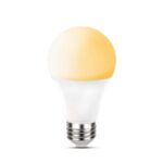 Smart Light Bulb Dual Light Color Wifi Smart LED Bulb SN66