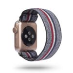 Color Matching Printing Nylon Watch Band for Apple Watch Series 5/4 40mm / 3/2/1 38mm – Grey/Colorful