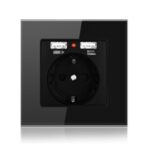 SMATRUL Dual USB Charging Ports LED Indicator 16A Wall EU Power Socket – Black