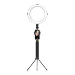 LEDISTAR B-10 Folding Beauty Lamp Fill Light