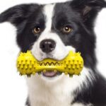 Dumbbell Bone Dog Puppy Chew Toy Tooth Cleaning Pet Toys – Yellow