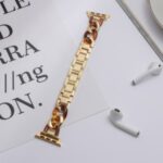 Stainless Steel + Resin Strap Replacement for Apple Watch SE/Series 6/5/4 40mm / Series 3/2/1 38mm Watch Band – Gold/Brown
